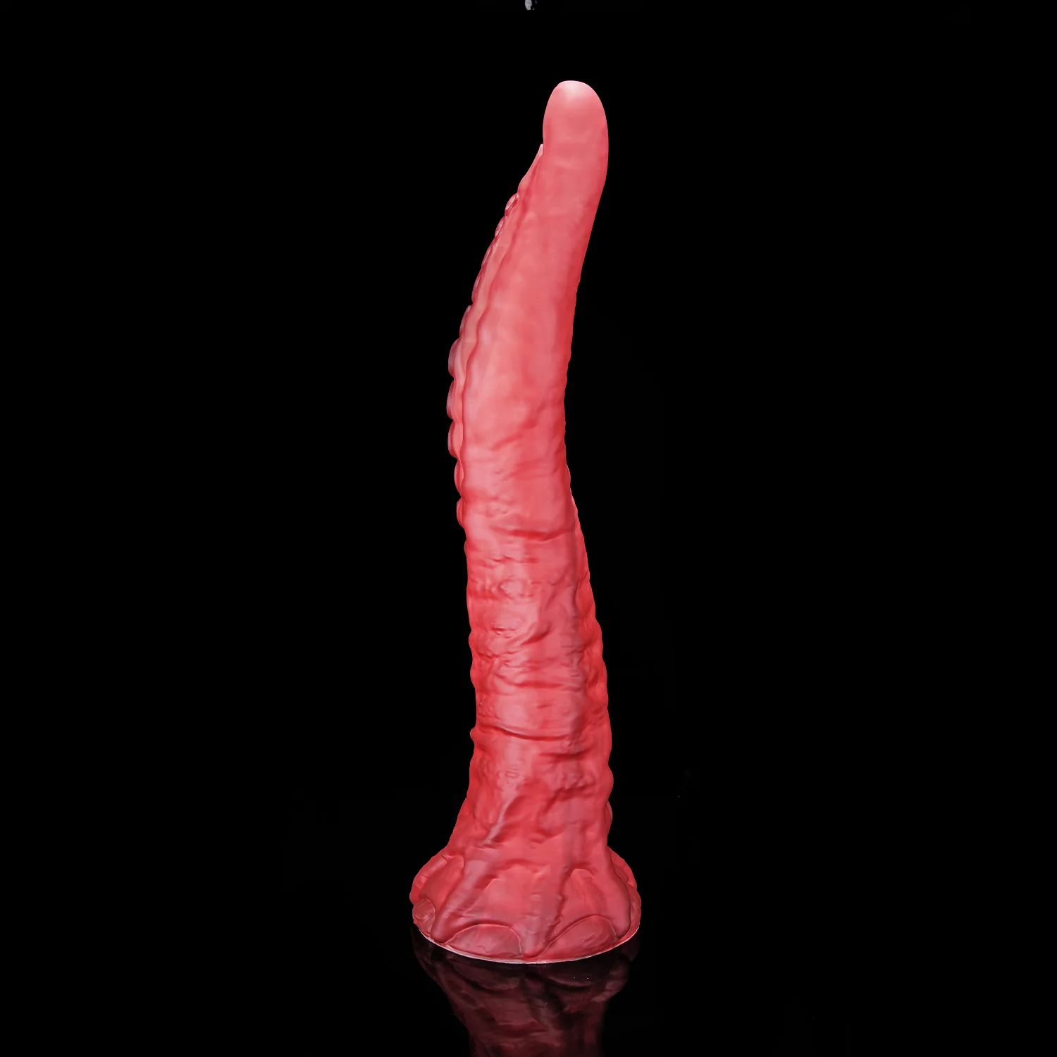 Vorschaubild 13